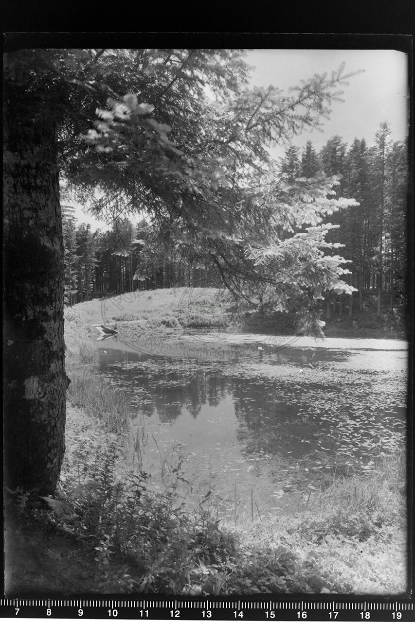 Camaldoli veduta del laghettonell interno della foresta