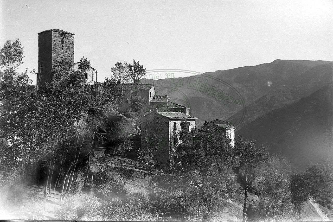 Senza titolo