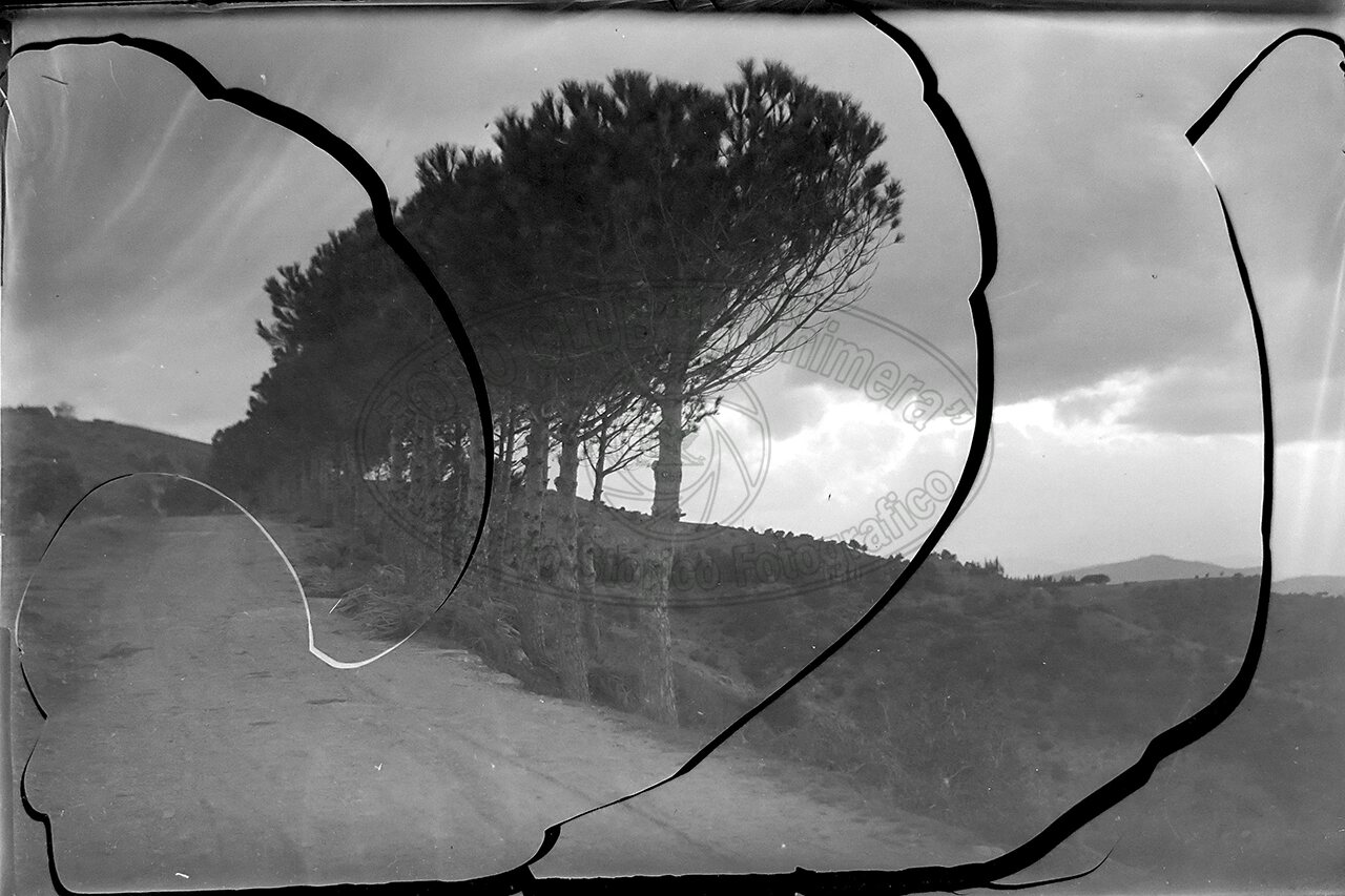 Senza titolo