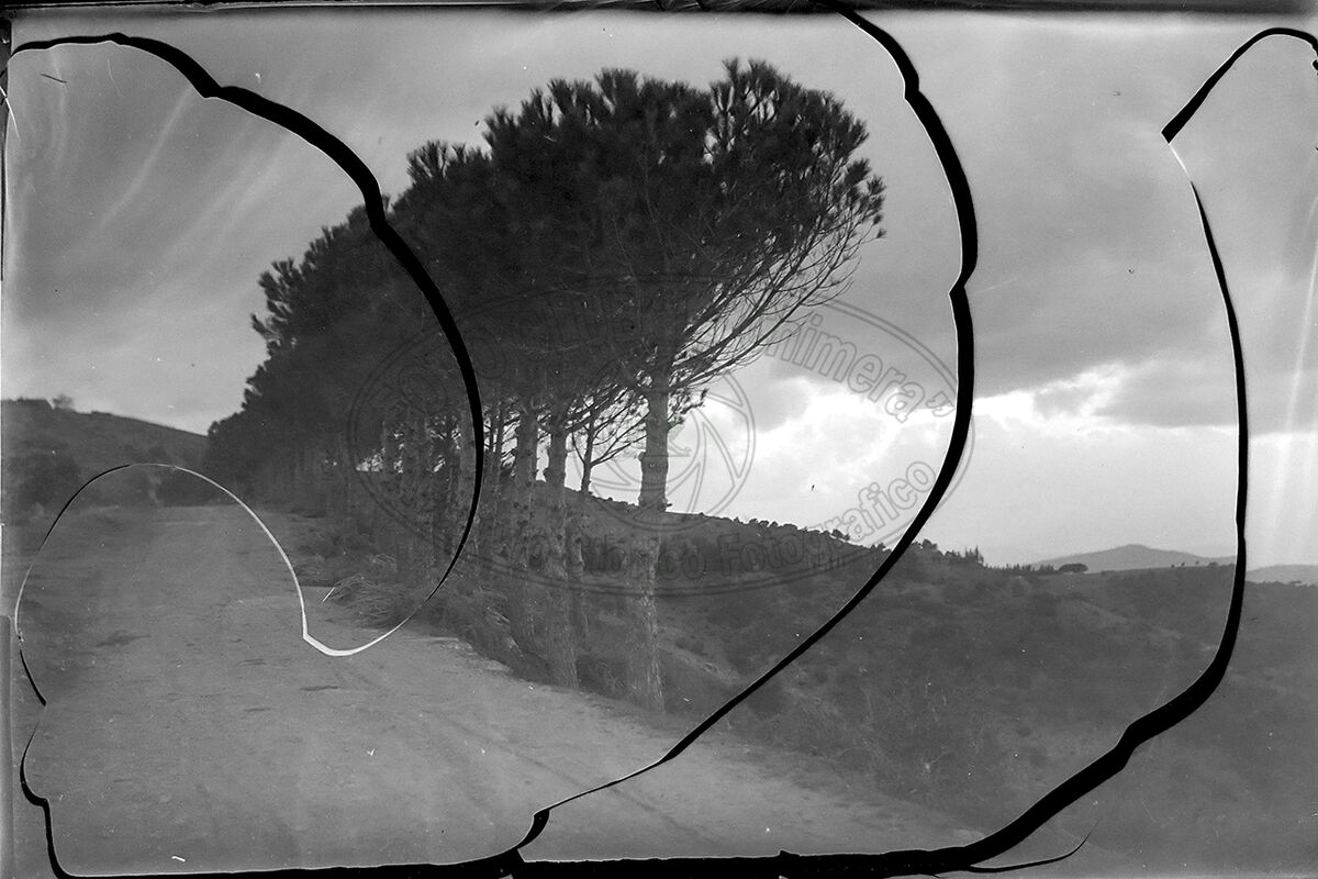 Senza titolo