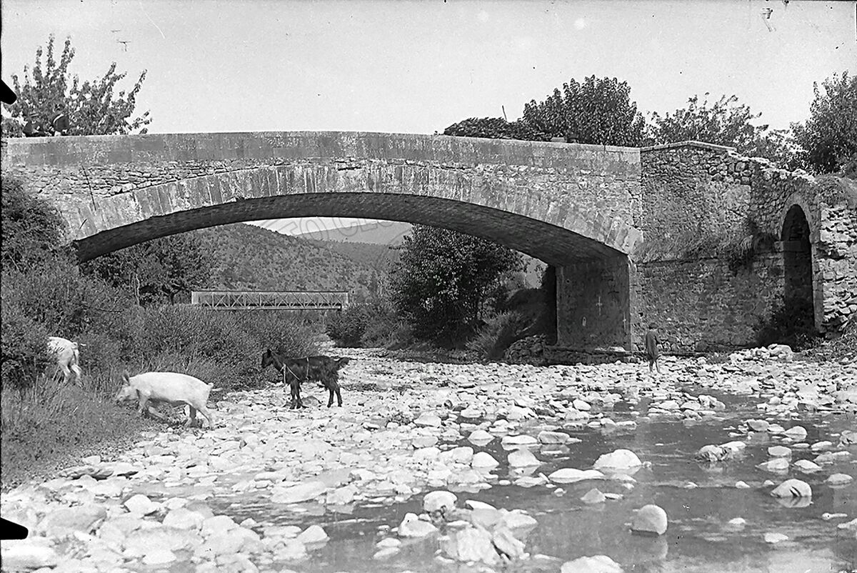 Ponte su torrente